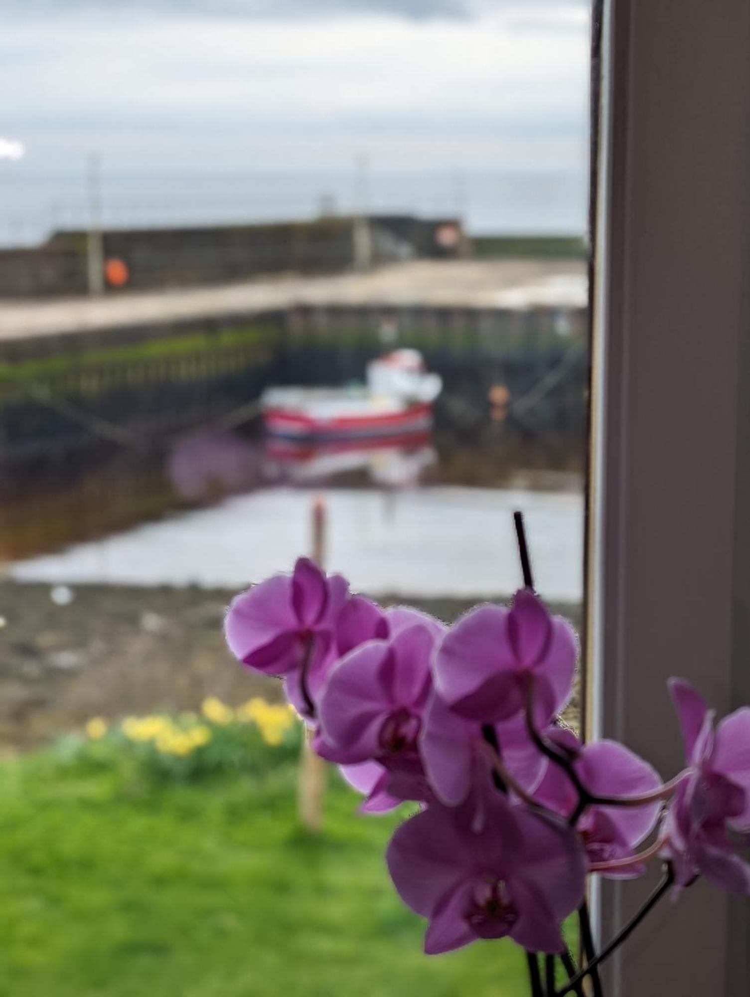 Sea Song, Selkie House Bed & Breakfast Helmsdale Dış mekan fotoğraf