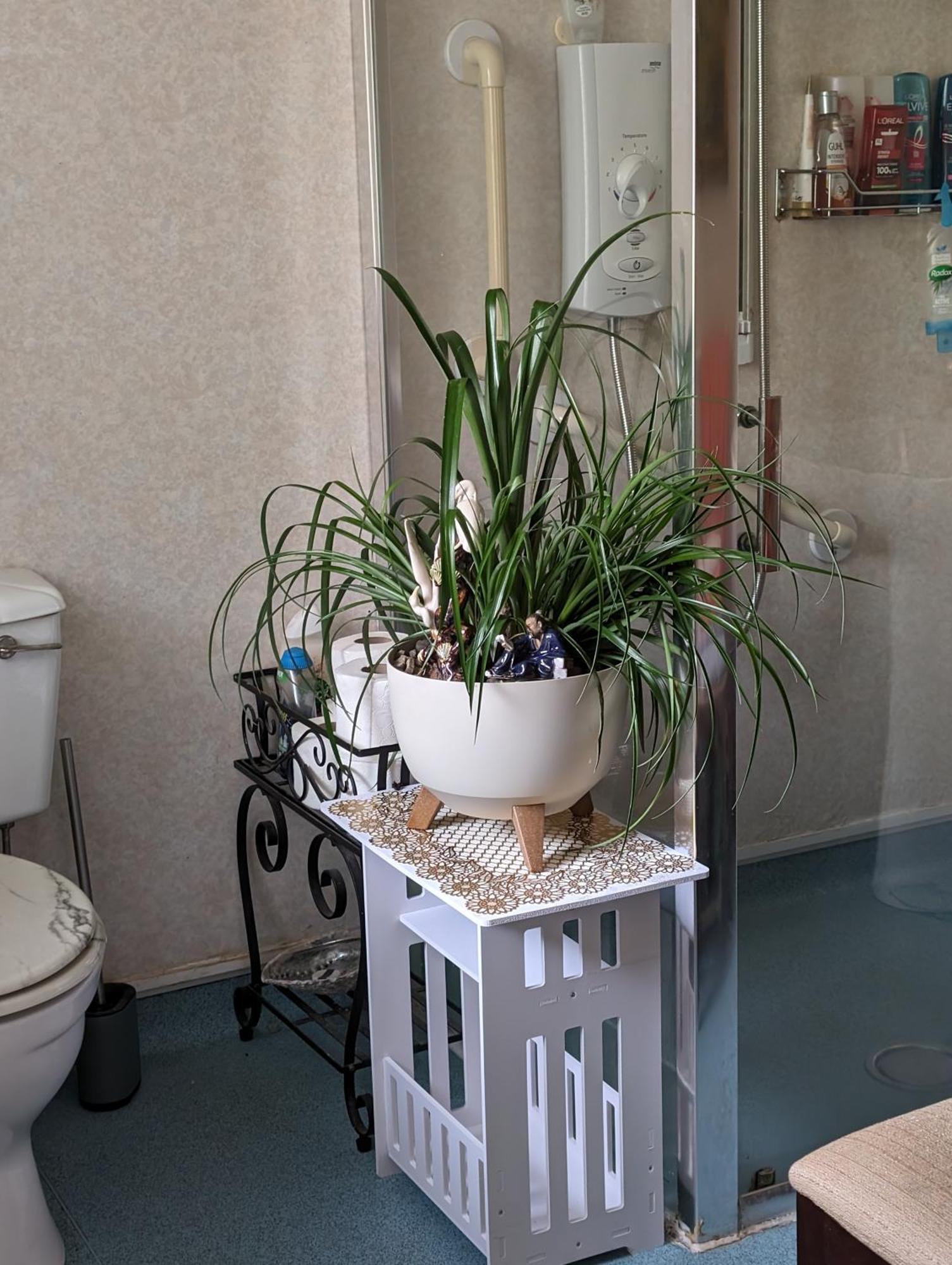 Sea Song, Selkie House Bed & Breakfast Helmsdale Dış mekan fotoğraf