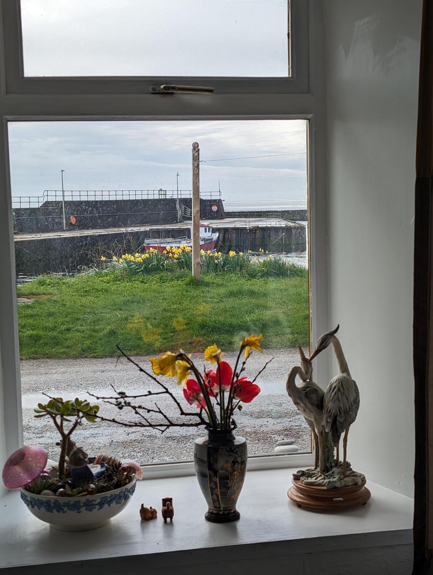 Sea Song, Selkie House Bed & Breakfast Helmsdale Dış mekan fotoğraf