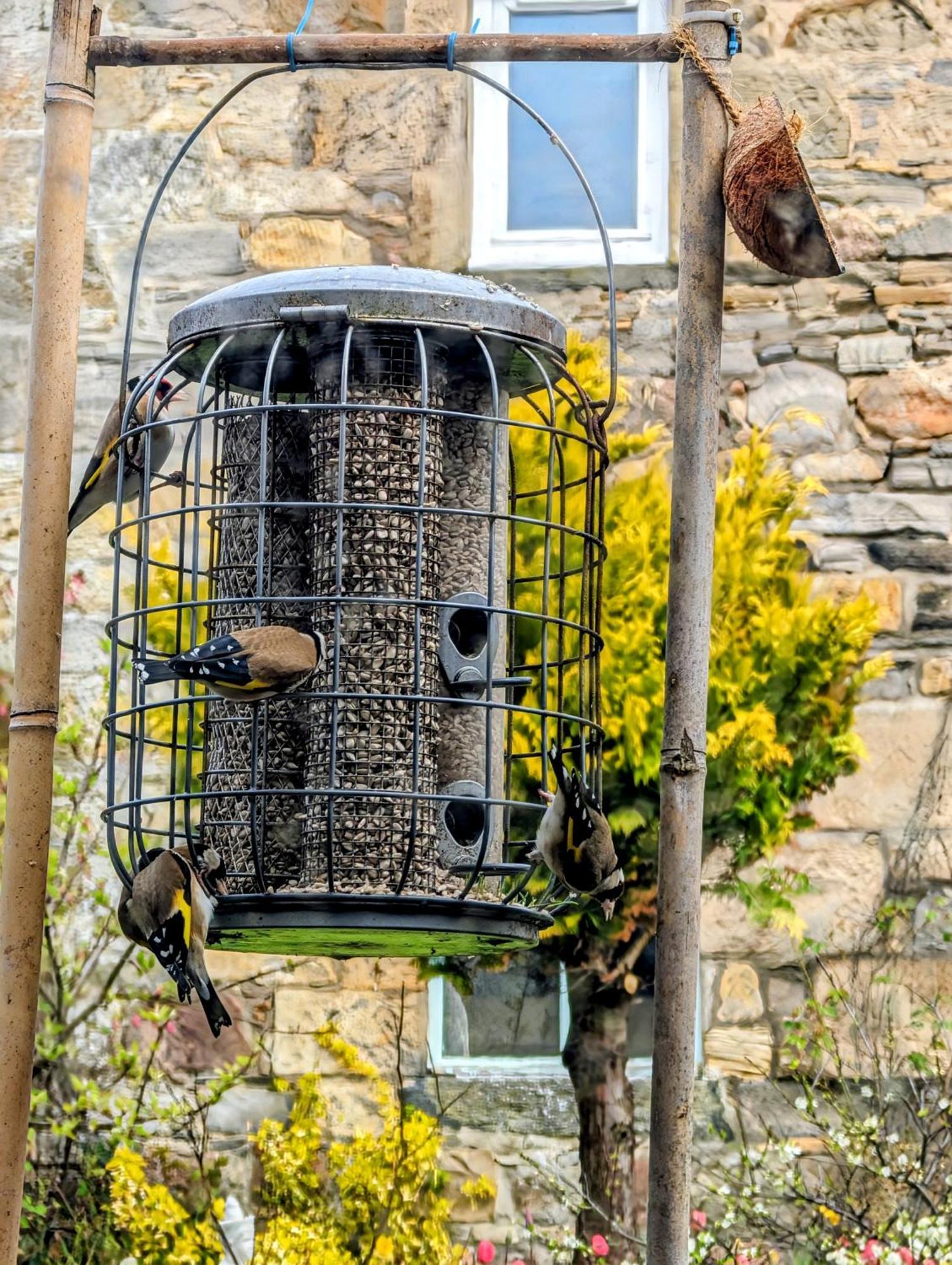 Sea Song, Selkie House Bed & Breakfast Helmsdale Dış mekan fotoğraf