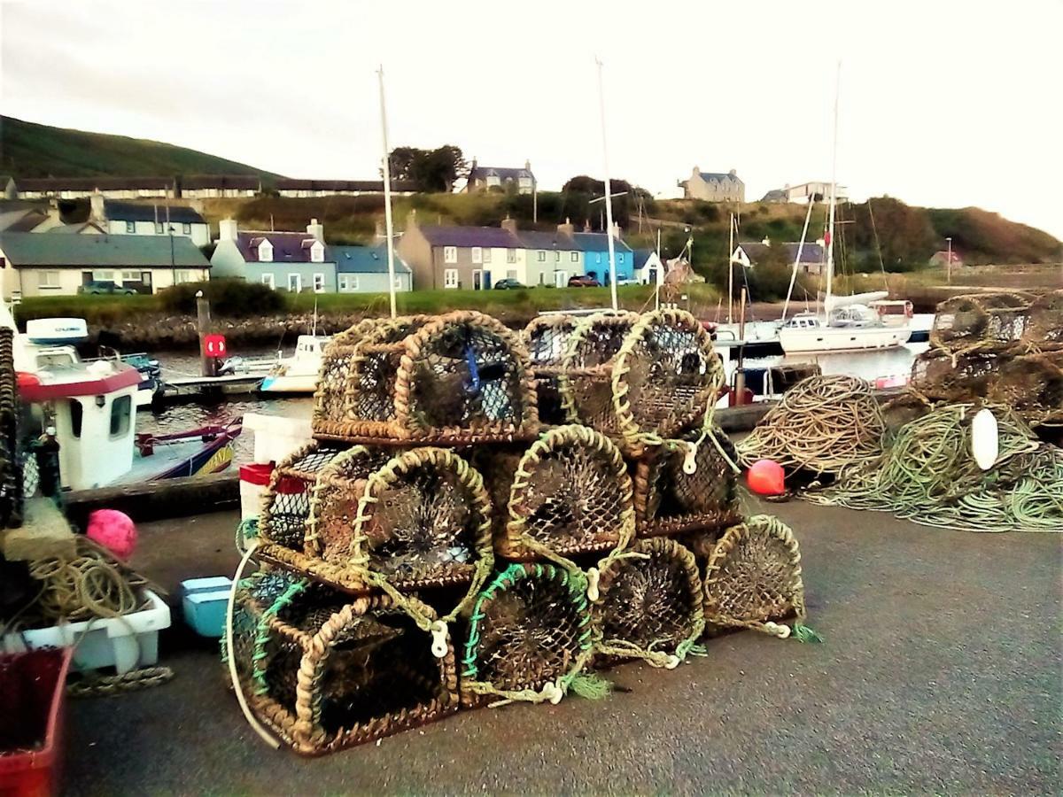 Sea Song, Selkie House Bed & Breakfast Helmsdale Dış mekan fotoğraf