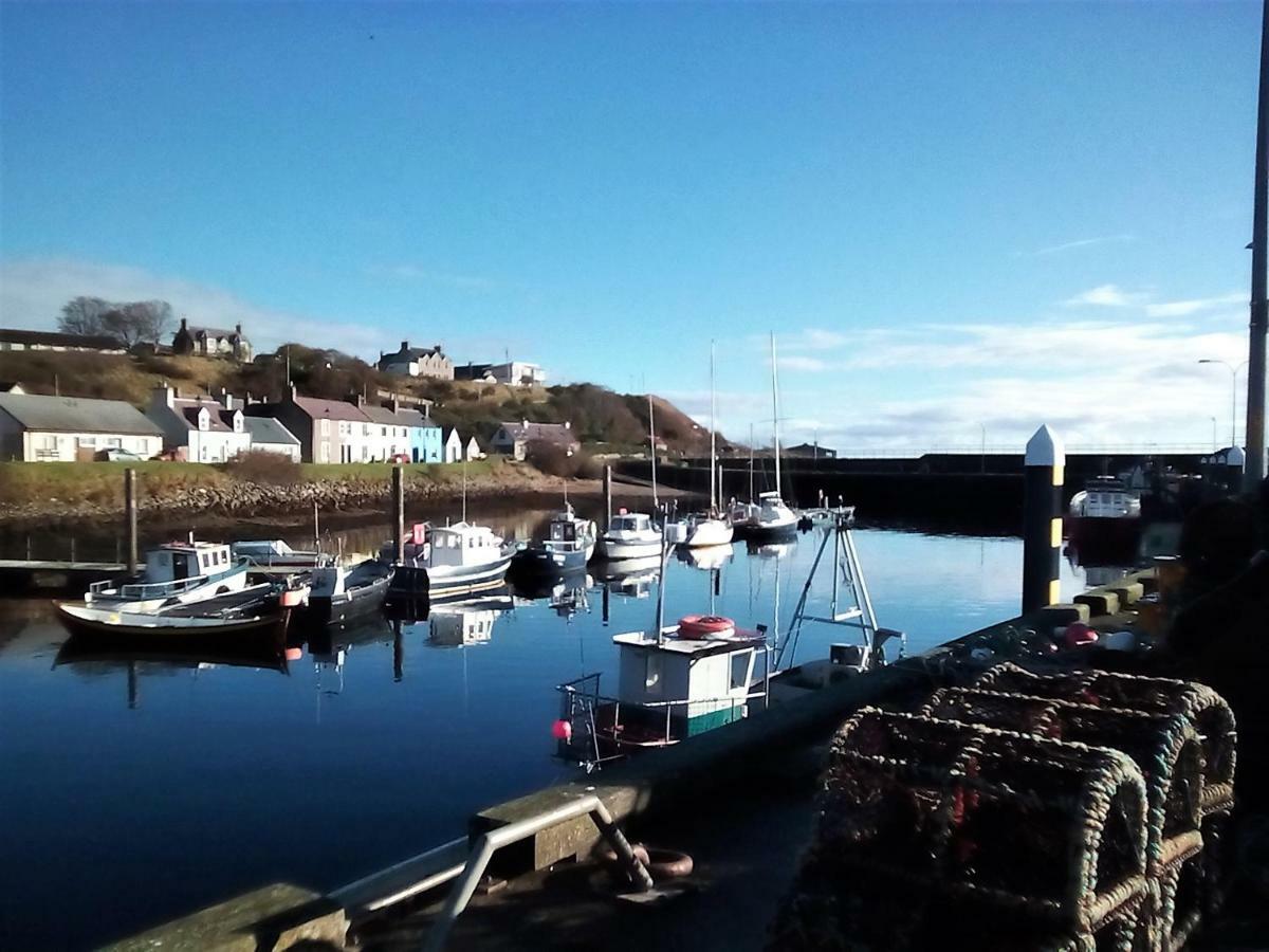 Sea Song, Selkie House Bed & Breakfast Helmsdale Dış mekan fotoğraf