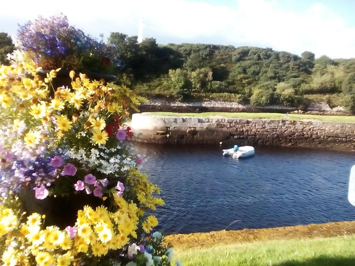 Sea Song, Selkie House Bed & Breakfast Helmsdale Dış mekan fotoğraf